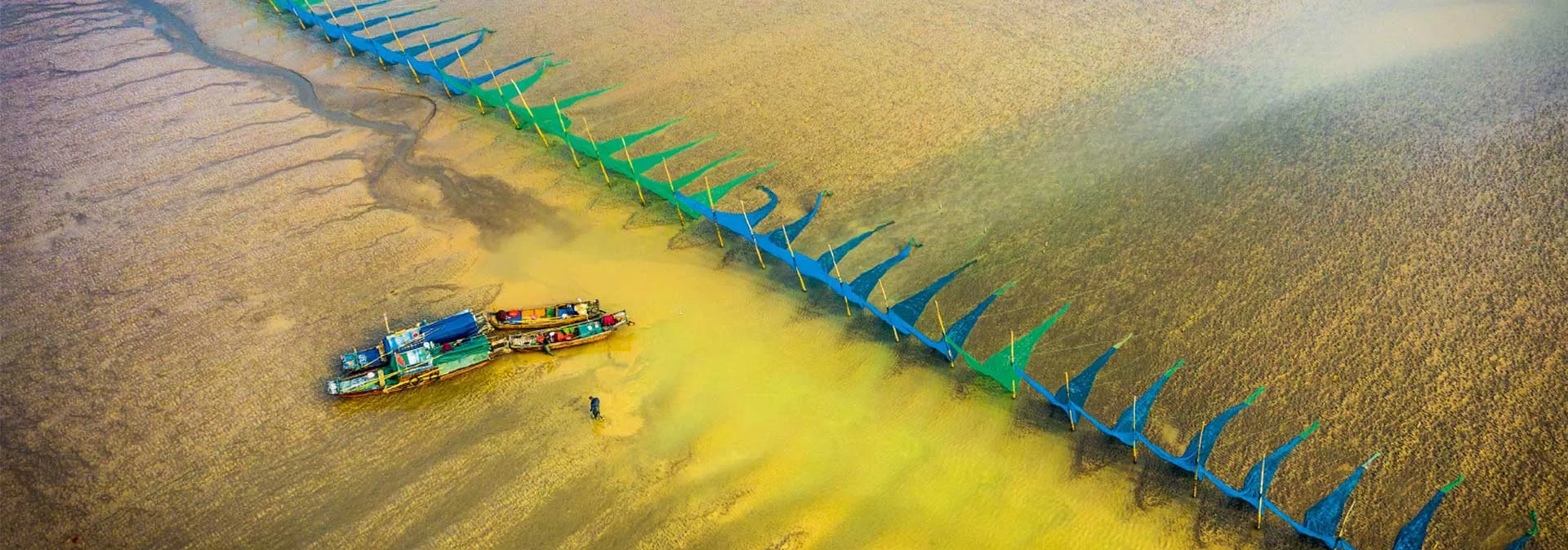 盐城丹顶鹤湿地